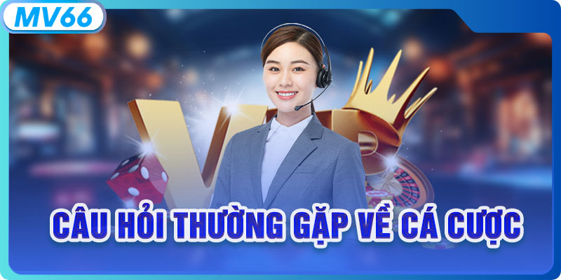 Câu hỏi thường gặp về cá cược