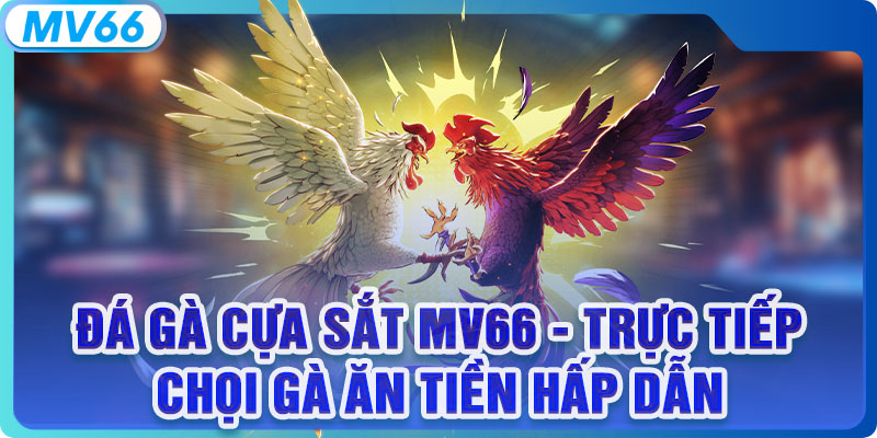 Đá Gà Cựa Sắt MV66 - Trực Tiếp Chọi Gà Ăn Tiền Hấp Dẫn