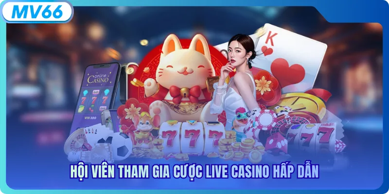Hội viên tham gia cược live Casino hấp dẫn